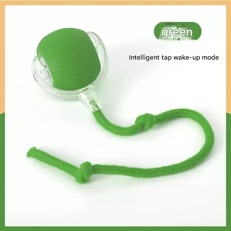 Pet toy ball, a great way to amuse cats and - ProPawPet.com