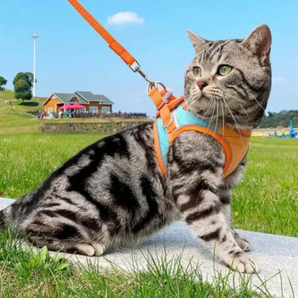 Cat Harness and Leash Set - Escape Proof - ProPawPet.com