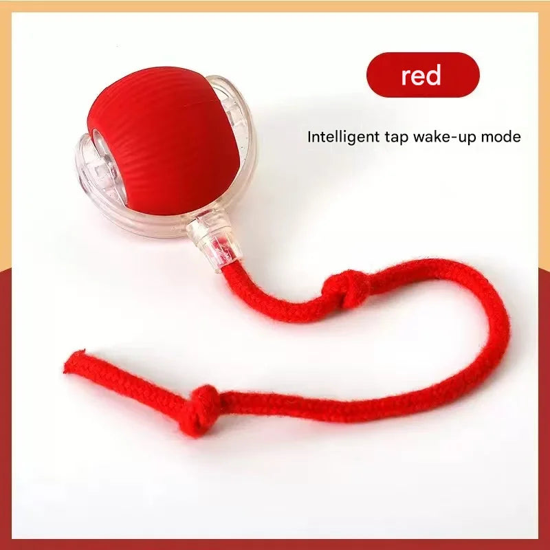Pet toy ball, a great way to amuse cats and - ProPawPet.com