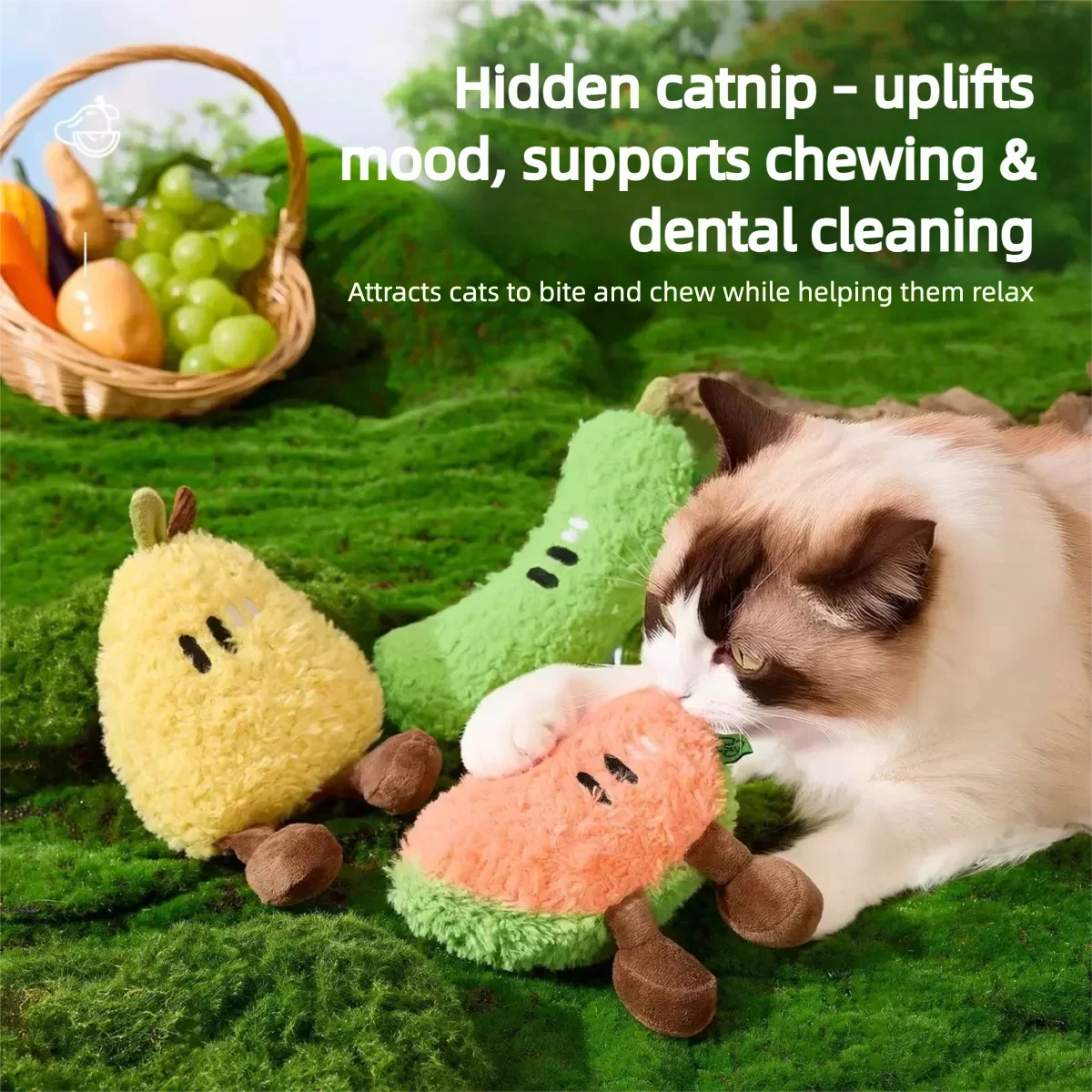 Catnip Fruit Plush Toy for Cats – - ProPawPet.com