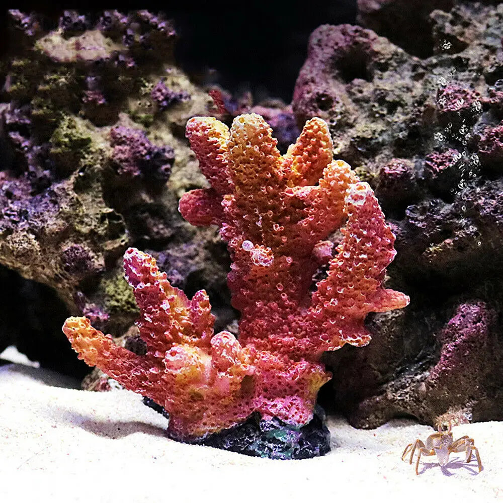 Resin Coral Reef Aquarium Ornaments Fish - ProPawPet.com