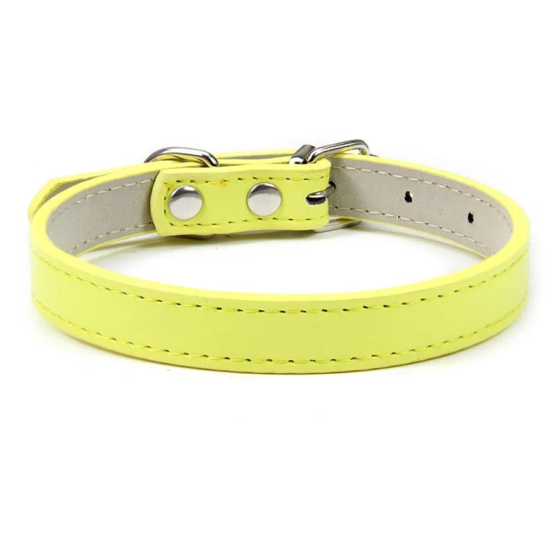 1PC Popular Adjustable Colorful Pet Collars - ProPawPet.com