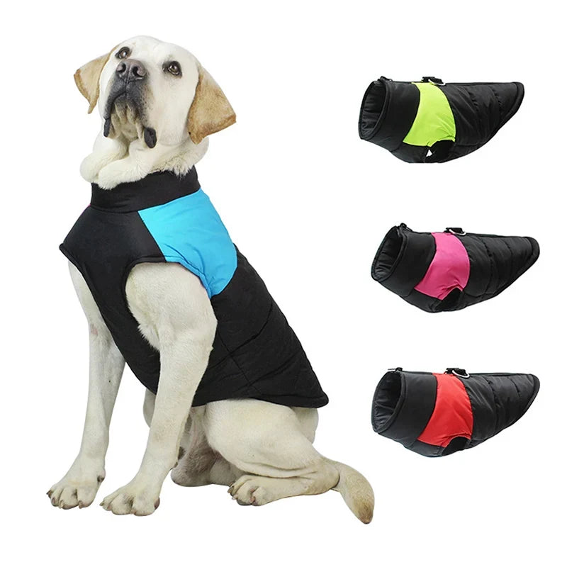 XL-7XL Pet Coat Jacket with Buckle for Small - ProPawPet.com