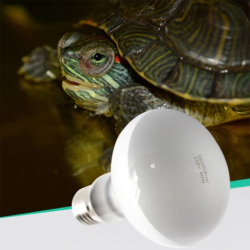 1 Pcs Reptile Heating Lamp 220V Heater Bulb - ProPawPet.com