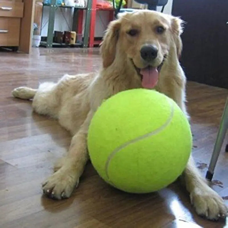1PC Rubber Squeak Toy for Dog Chew Bone - ProPawPet.com