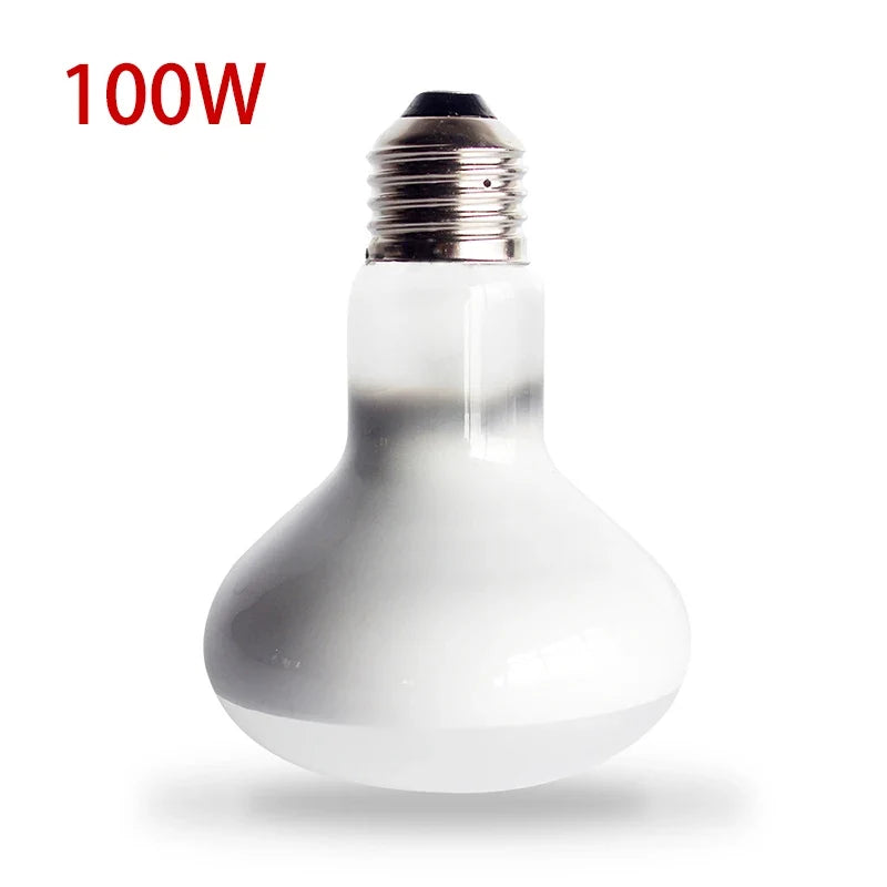 Reptile Heating Lamp 220v Heater Bulb Uva UVB Turtle Lizard – 5 Colors