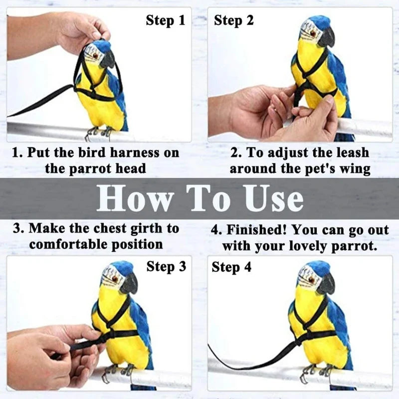 Parrot Bird Harness Leash Adjustable - ProPawPet.com