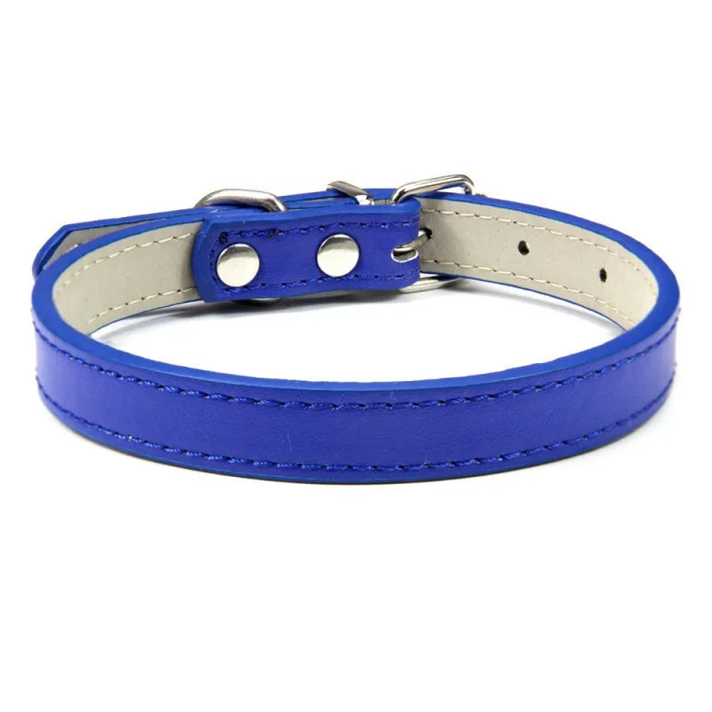 1PC Popular Adjustable Colorful Pet Collars - ProPawPet.com