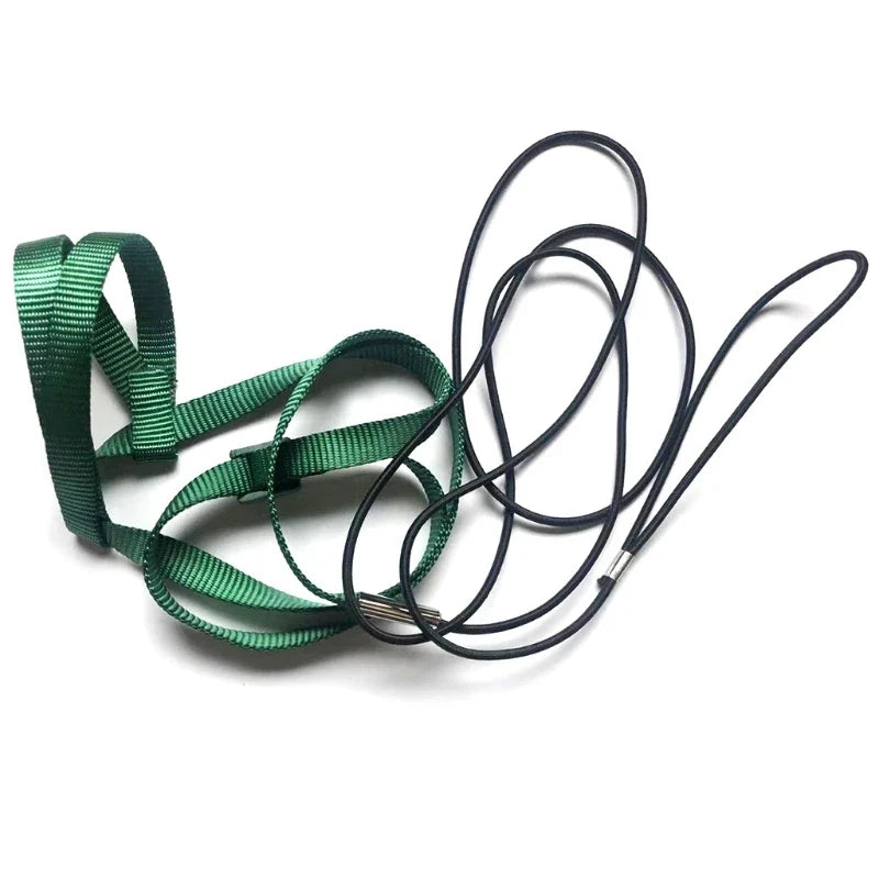 Parrot Bird Harness Leash Adjustable - ProPawPet.com