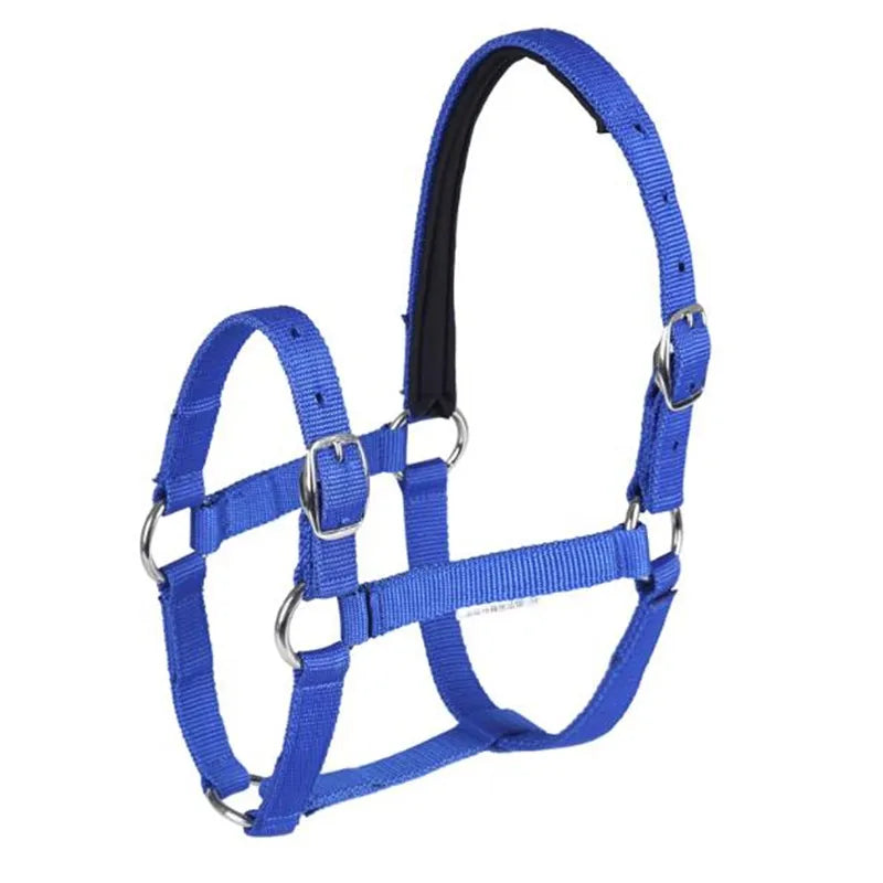 Cavassion Directly Sale Anti-friction - ProPawPet.com