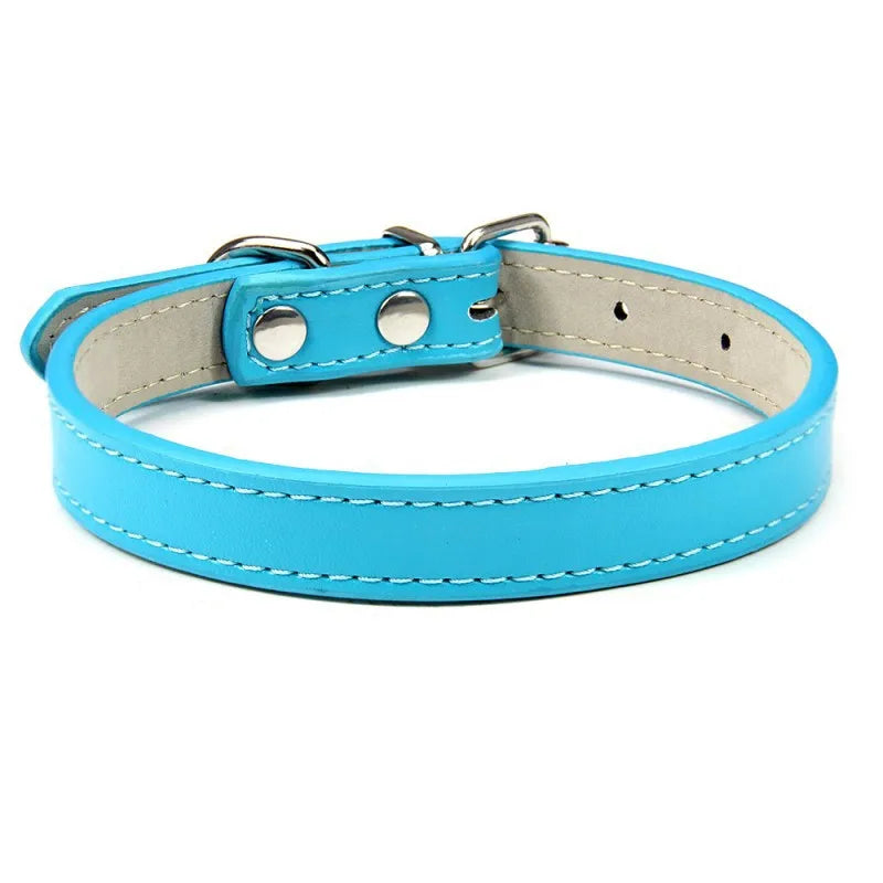 1PC Popular Adjustable Colorful Pet Collars - ProPawPet.com