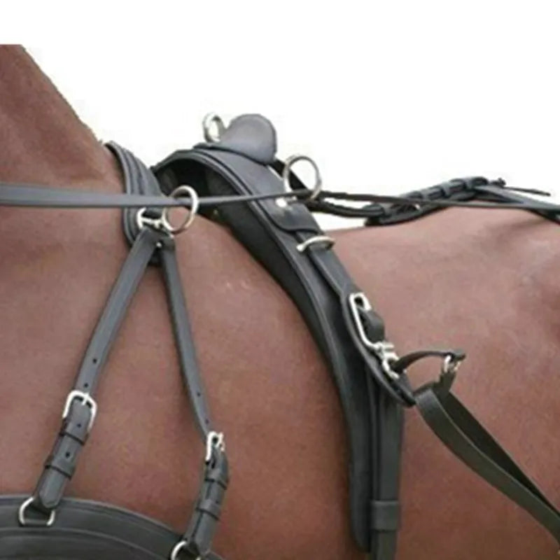 10pcs Stainless Steel Leather Buckle Horse - ProPawPet.com
