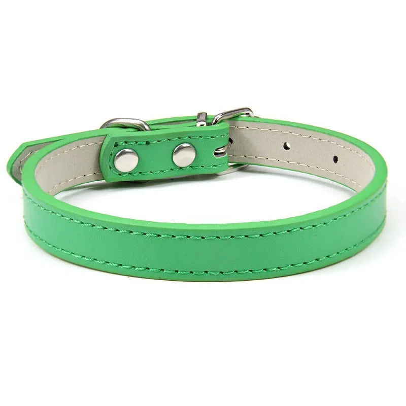 1PC Popular Adjustable Colorful Pet Collars - ProPawPet.com