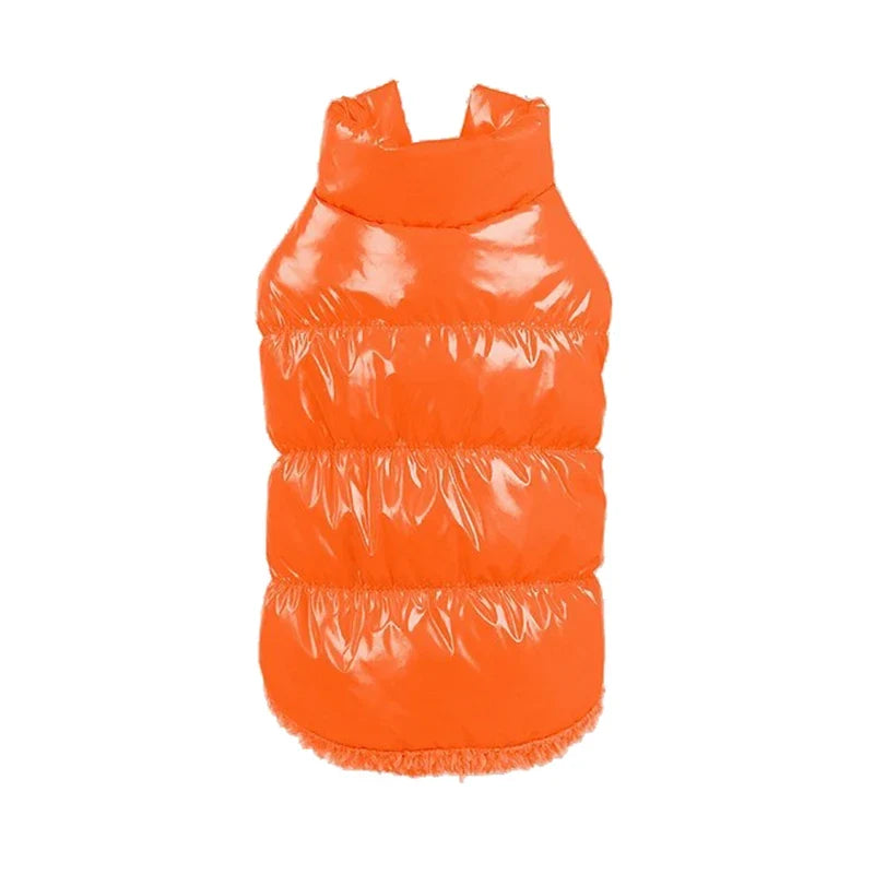 Classis Pet Dog Down Jacket for Small Dogs - ProPawPet.com