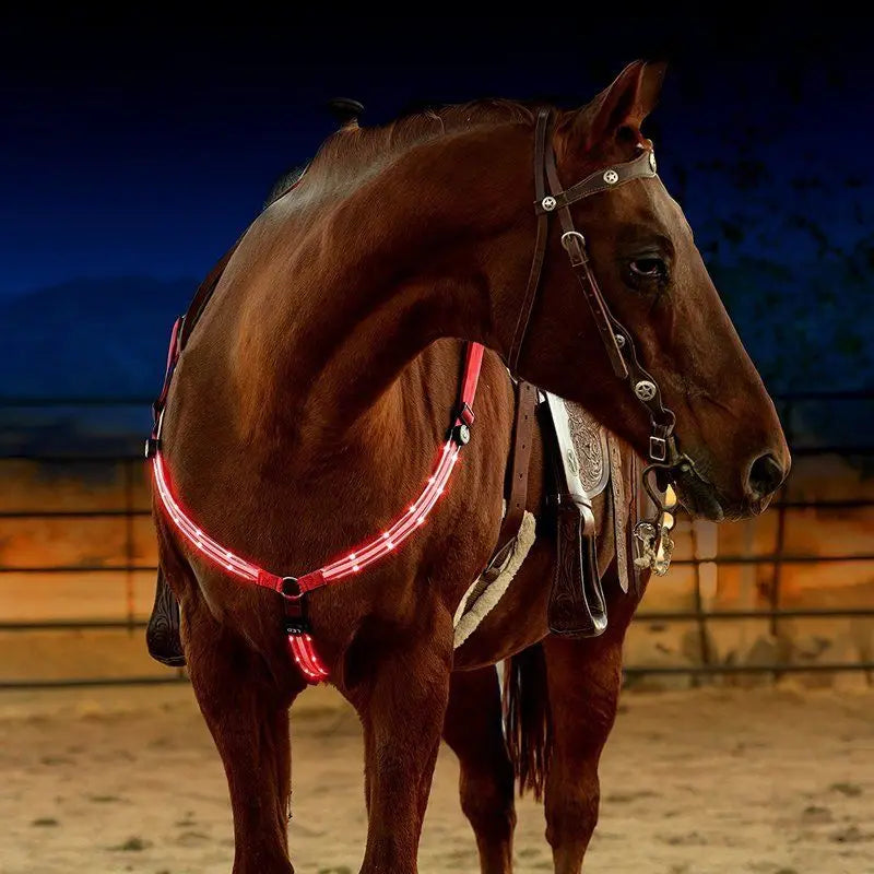 LED Horse Harness Nylon Night Visible Riding Equipment Outdoor – 3 Colors