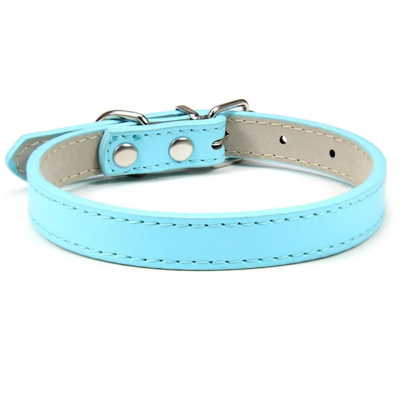 1PC Popular Adjustable Colorful Pet Collars - ProPawPet.com