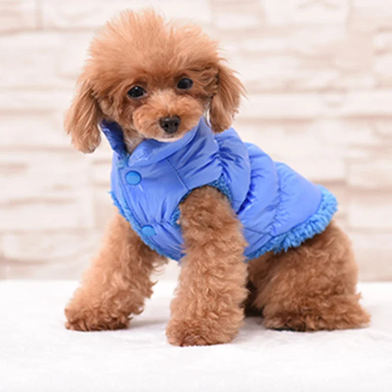 Classis Pet Dog Down Jacket for Small Dogs - ProPawPet.com