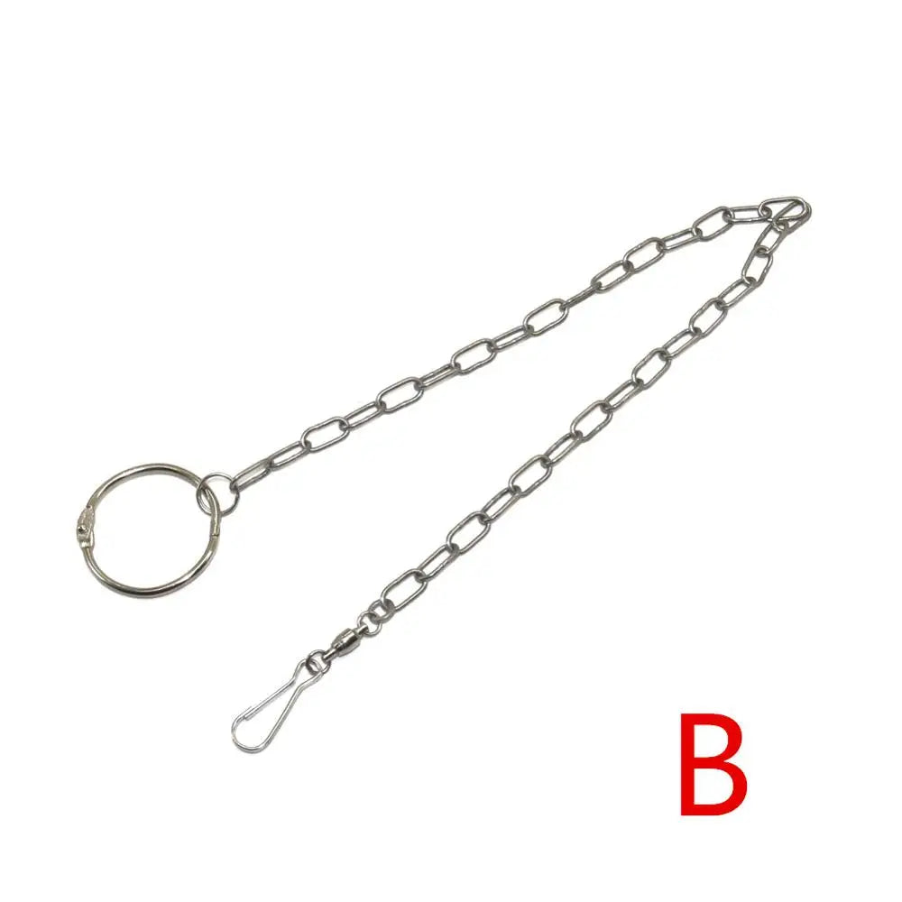 Parrot Leg Ring Ankle Foot Chain Bird – Training & Behavior