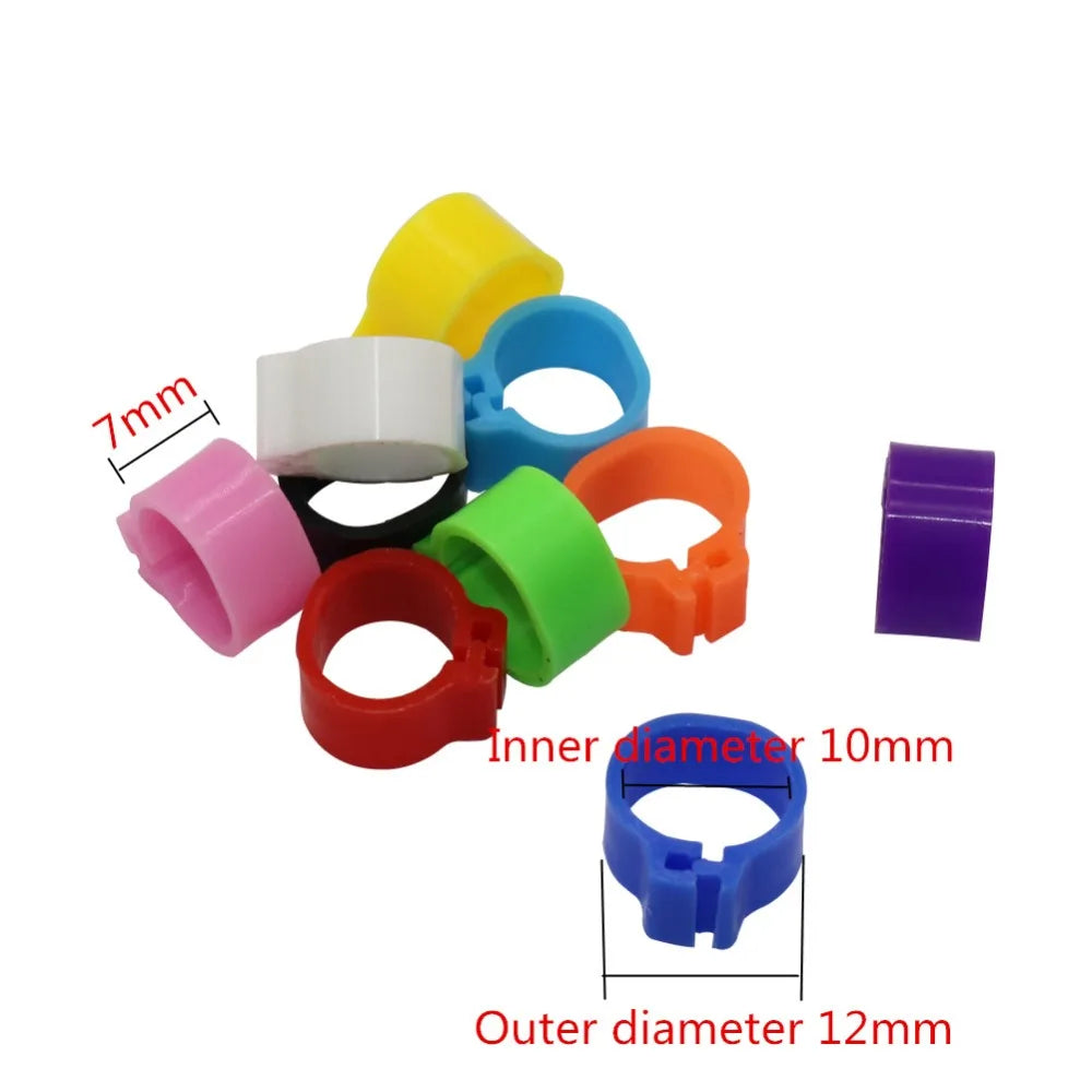 Multicolor Pigeons Rings 10mm Bayonet - ProPawPet.com