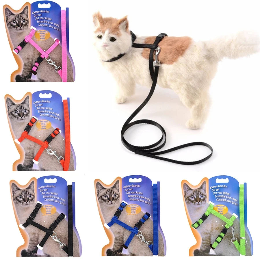5 Color Adjustable Cat Collar for Cozy Nylon Rabbit Kitten