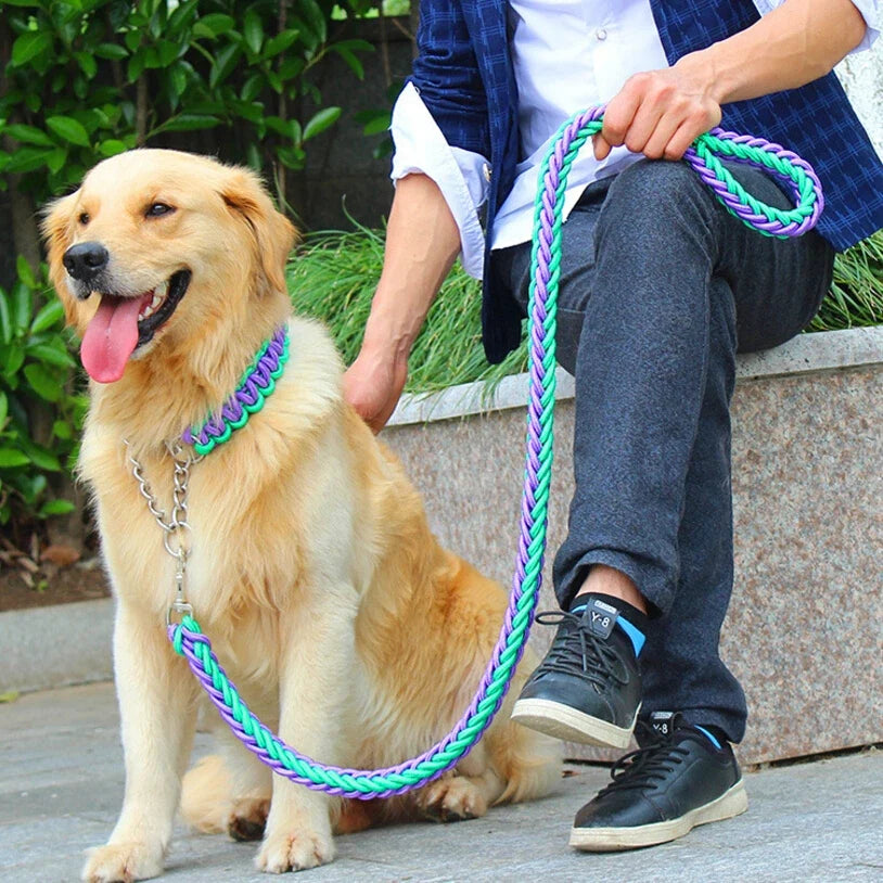 Double Strand Rope Large Dog Leashes Metal P - ProPawPet.com