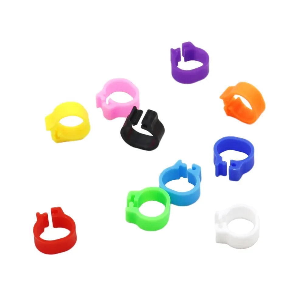 Multicolor Pigeons Rings 10mm Bayonet - ProPawPet.com