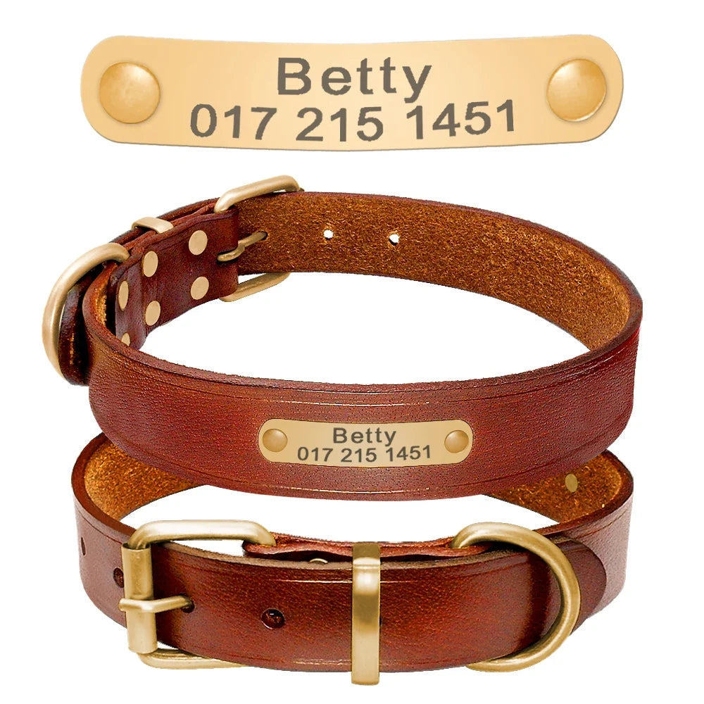 Personalized Dog ID Collar Genuine Leather - ProPawPet.com
