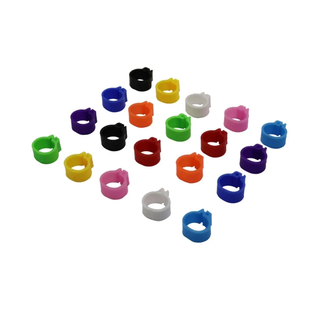 Multicolor Pigeons Rings 10mm Bayonet - ProPawPet.com