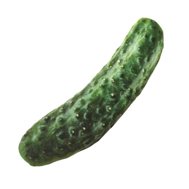Bone Beef Shape Pet Dog Squeaker Toys for - ProPawPet.com