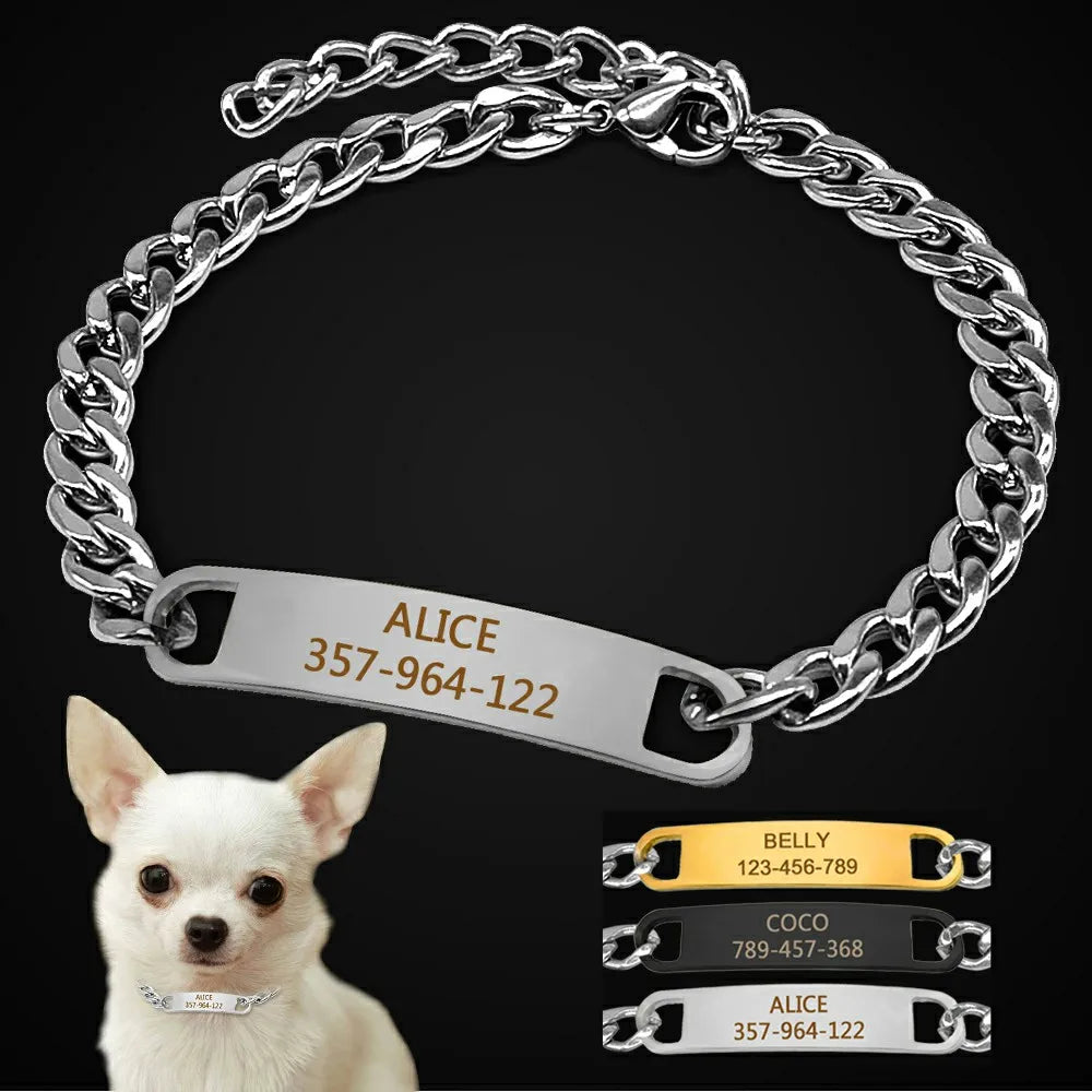 Personalized Cat Dog Chain Collar Customized - ProPawPet.com