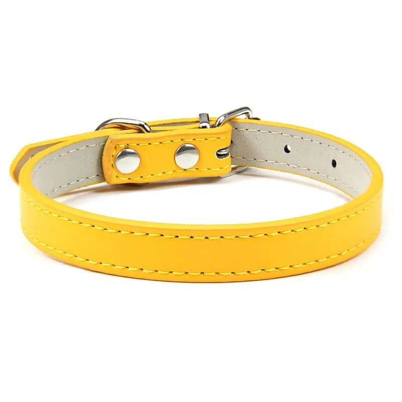 1PC Popular Adjustable Colorful Pet Collars - ProPawPet.com