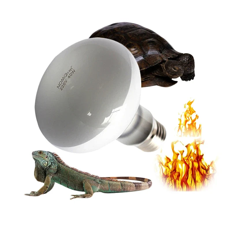 1 Pcs Reptile Heating Lamp 220V Heater Bulb - ProPawPet.com