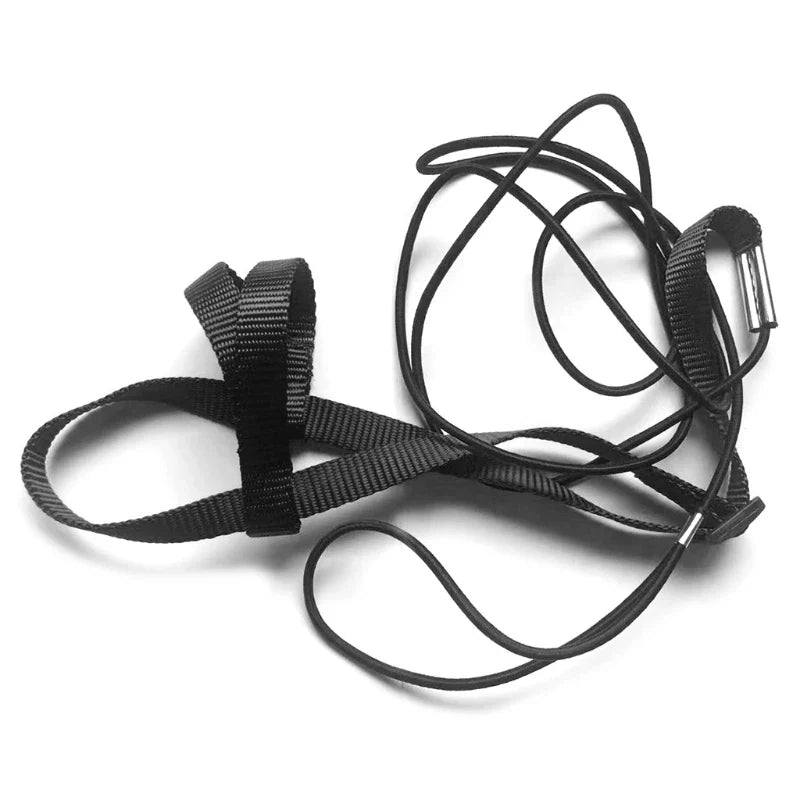 Parrot Bird Harness Leash Adjustable - ProPawPet.com