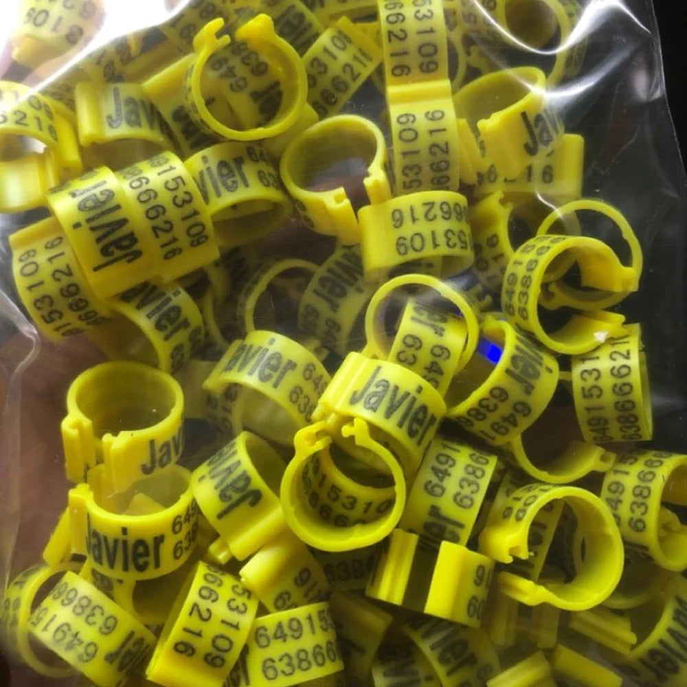 /retail C8 8mm Bird Dove Pigeon Plastic Leg - ProPawPet.com