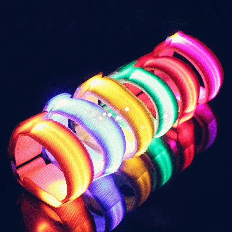 4 Pcs Led Lighting Horse Leg Safety Belt - ProPawPet.com
