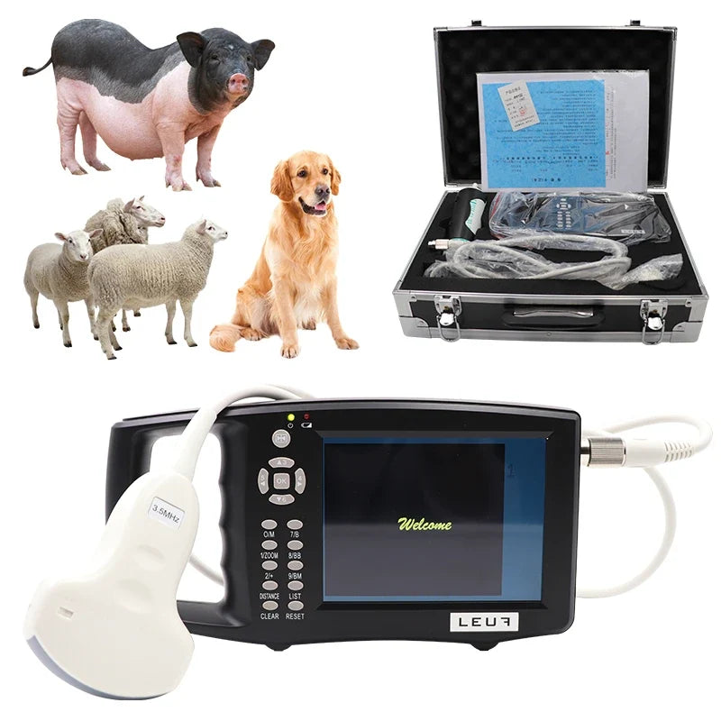 Cattle 5.6 Inch Screen Veterinary Ultrasound - ProPawPet.com