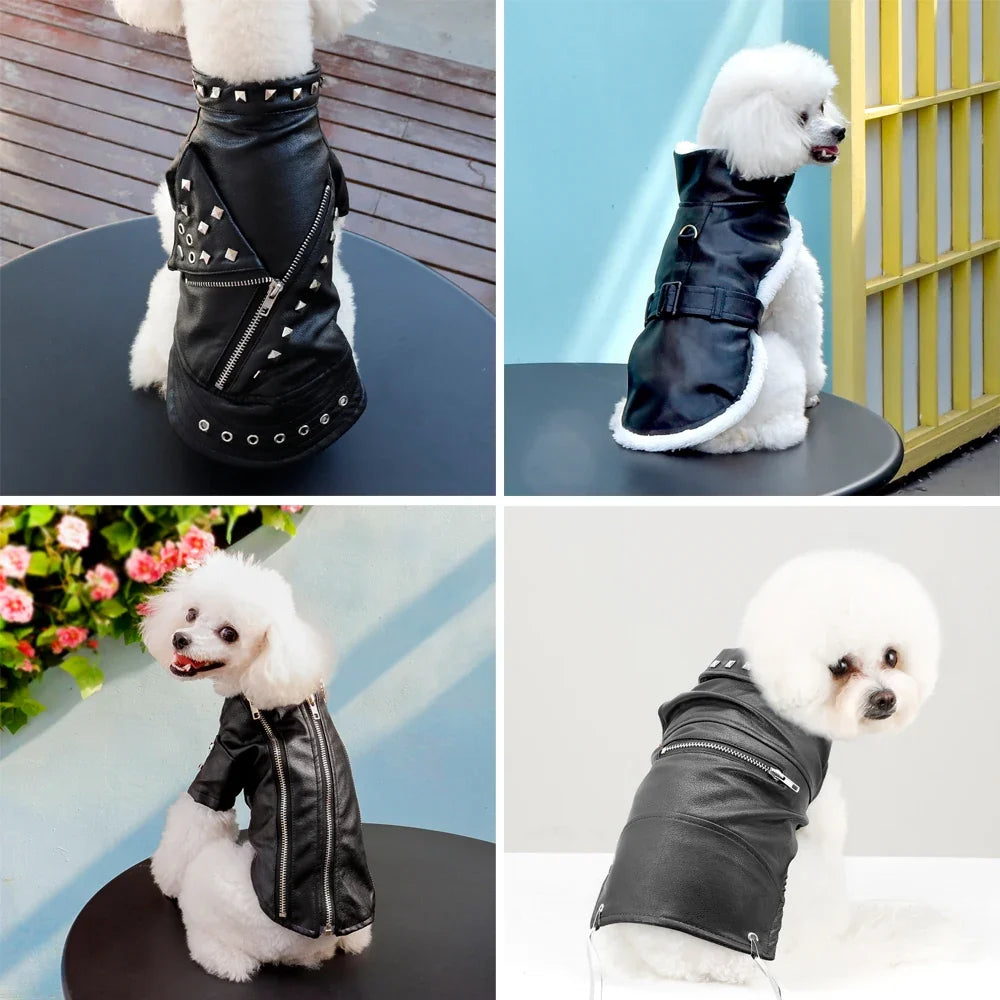 Cool Dog Leather Jacket Coat Warm Winter Pet - ProPawPet.com