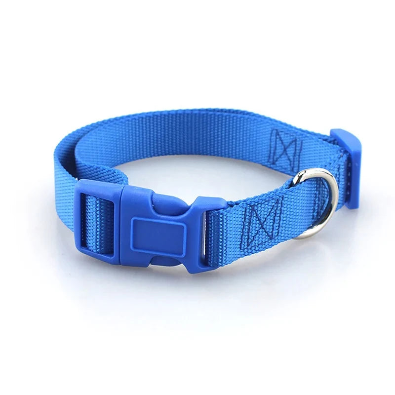Adjustable Superior Nylon Dog Collar Heavy - ProPawPet.com