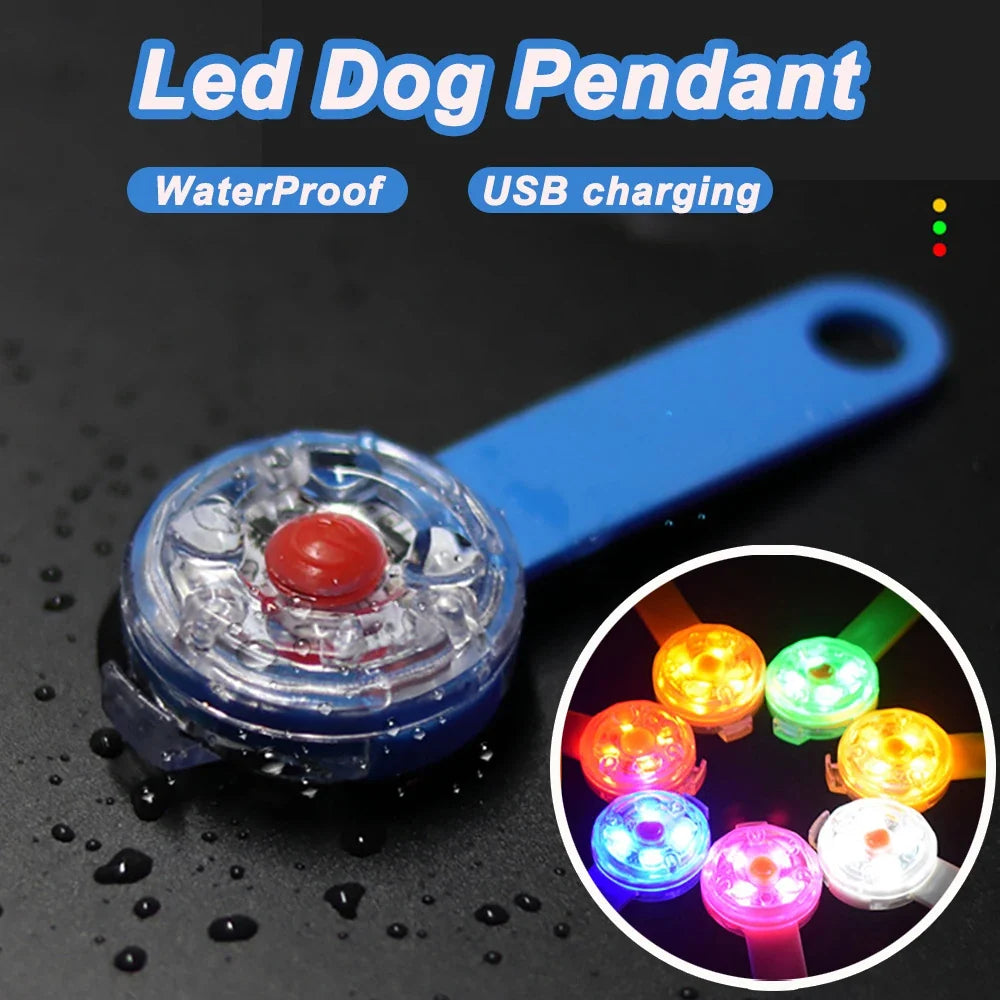 LED Pet Dog Cat Collar Pendant Night Safety - ProPawPet.com