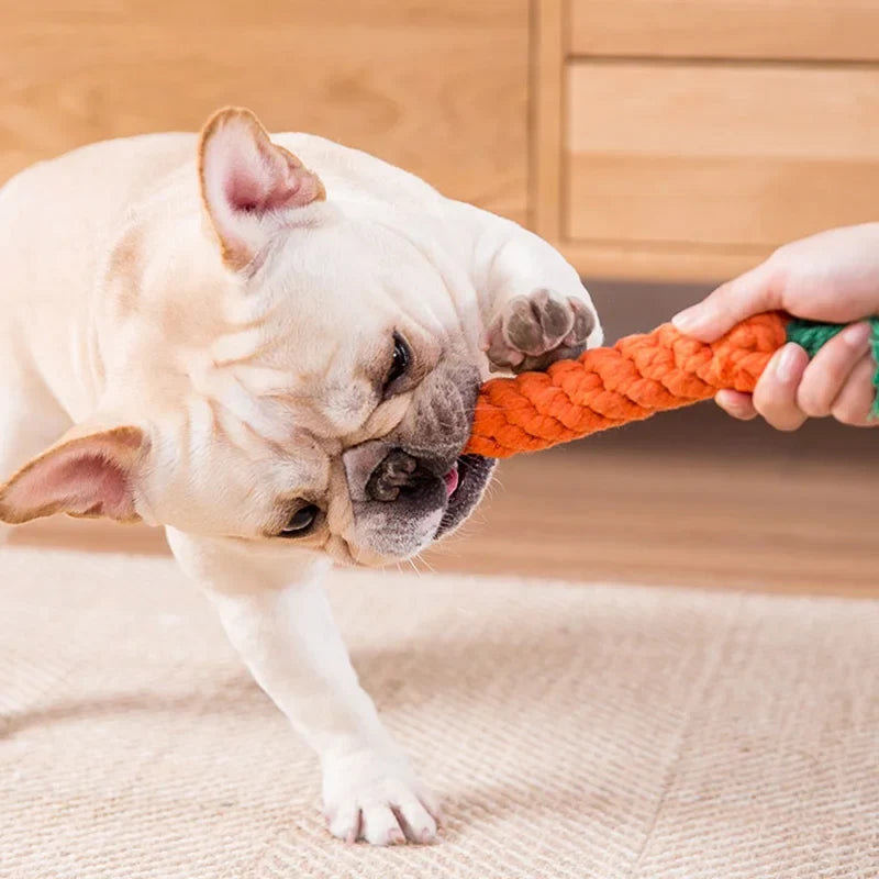 Cute Octopus Pulpo Pet Rope Toys Safety - ProPawPet.com