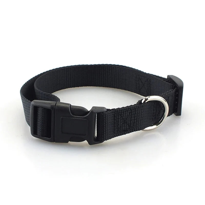 Adjustable Superior Nylon Dog Collar Heavy - ProPawPet.com
