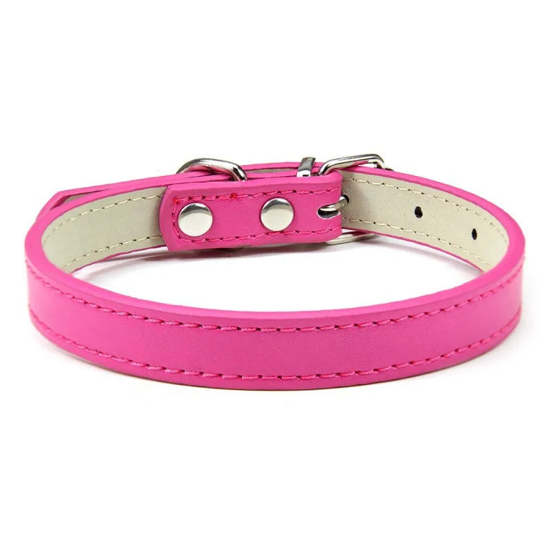 1PC Popular Adjustable Colorful Pet Collars - ProPawPet.com