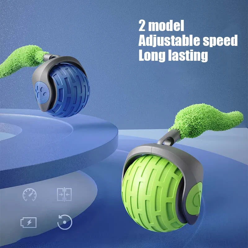 New Interactive Cat Toys Ball Auto Electric - ProPawPet.com
