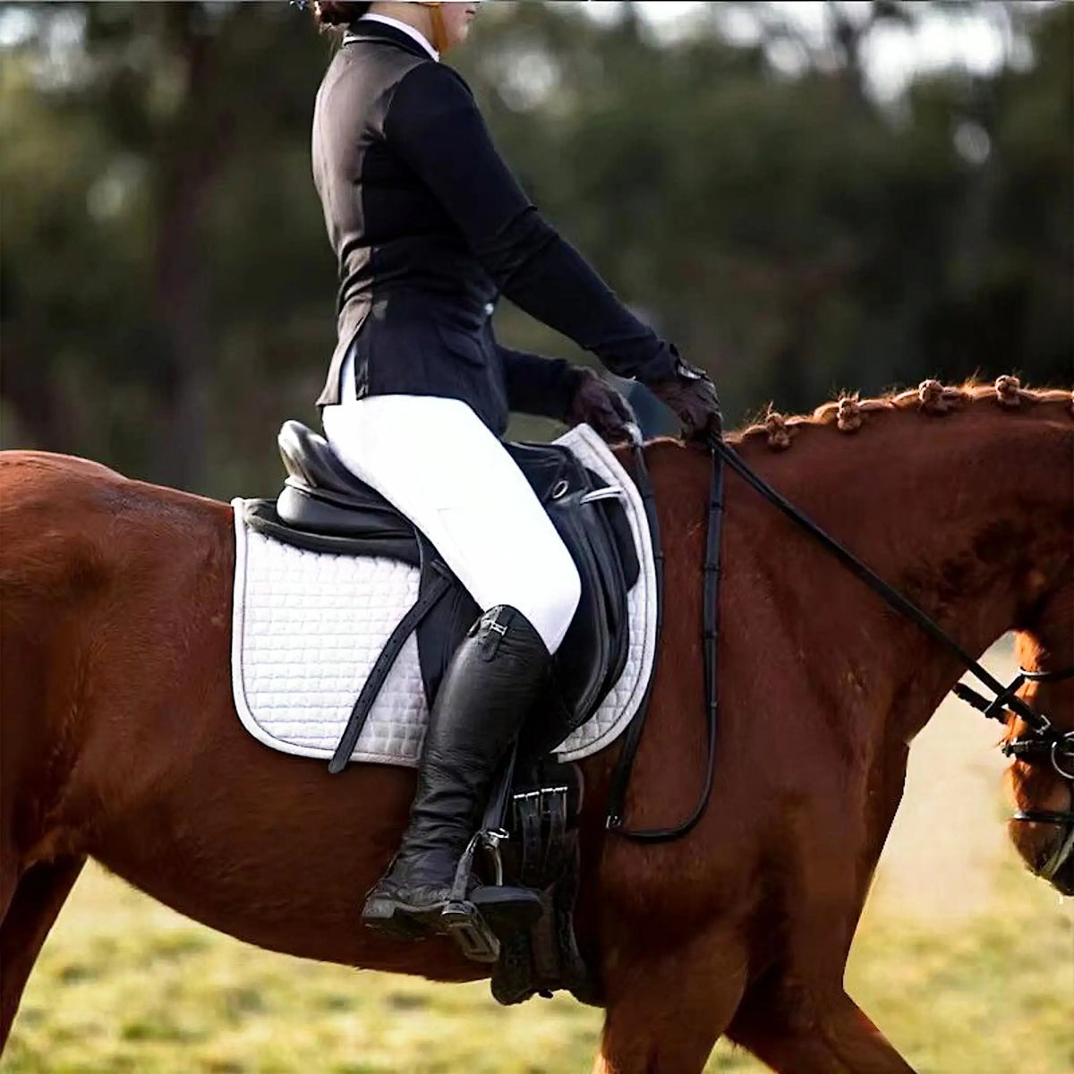 Equestrian Pants Silicone Grip Women's - ProPawPet.com