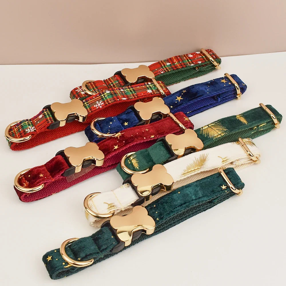 Premium Custom Engraved Dog Collar for Small - ProPawPet.com