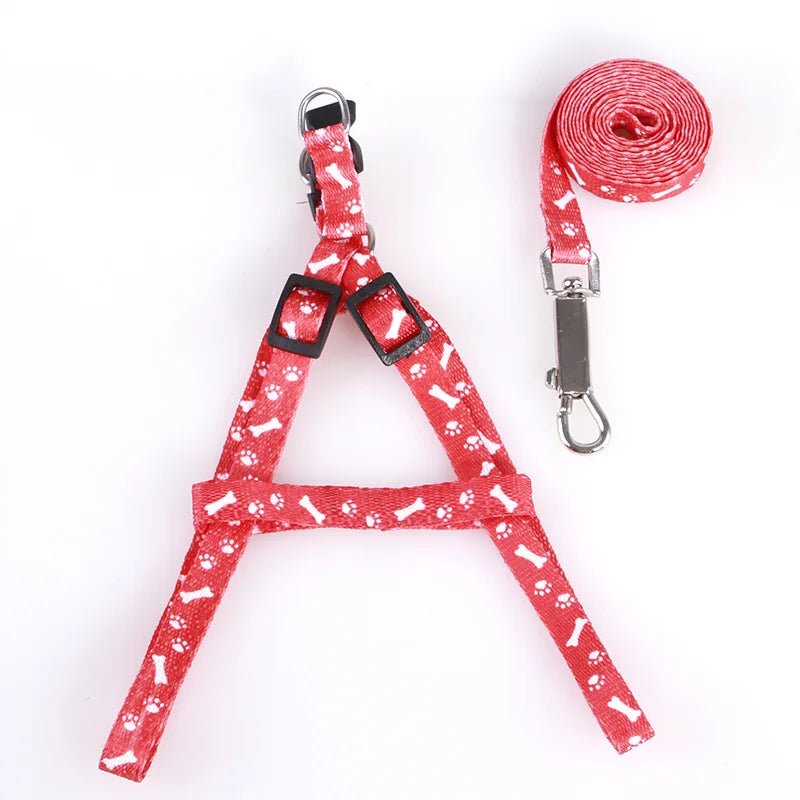 Cheap Small Dog Leash Puppy Leashes Teddy - ProPawPet.com