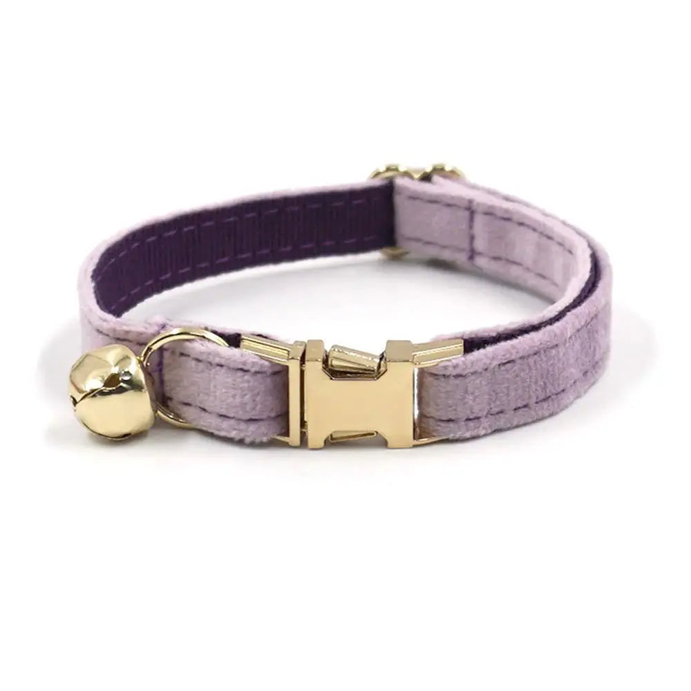 Free Engraving Customized Multicolor Soft - ProPawPet.com