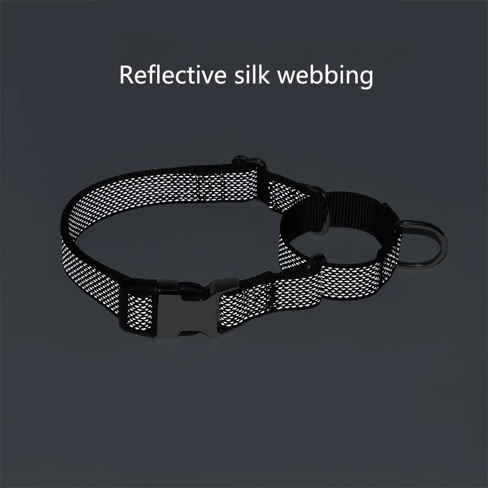 Personalized Martingale Dog - ProPawPet.com