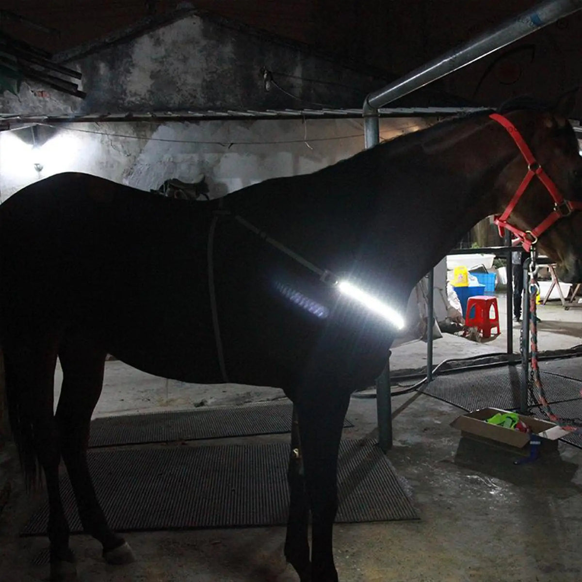 LED Luminous Horse Breast Collar Halter – 4 Colors