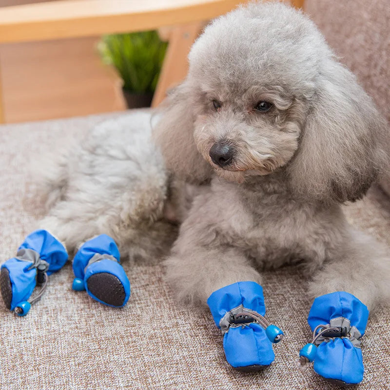 Dog Shoes Boots & Paw Protector, Anti-Slip - ProPawPet.com